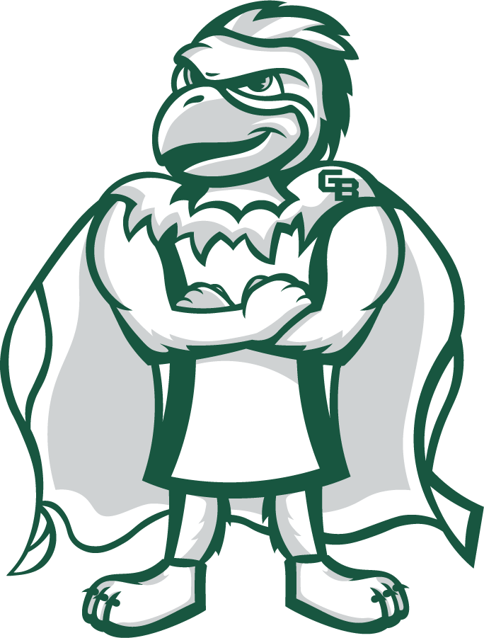 Wisconsin-Green Bay Phoenix 2020-Pres Mascot Logo v4 t shirts iron on transfers